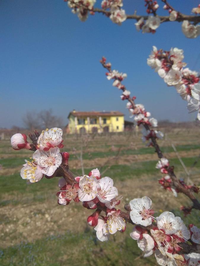 La Crosona Apartman Colà Kültér fotó